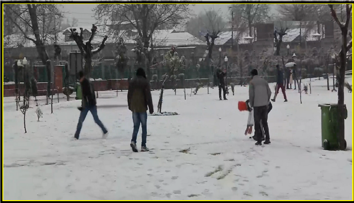 Watch: Tourists rejoice as Srinagar receives fresh snowfall