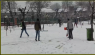 Watch: Tourists rejoice as Srinagar receives fresh snowfall