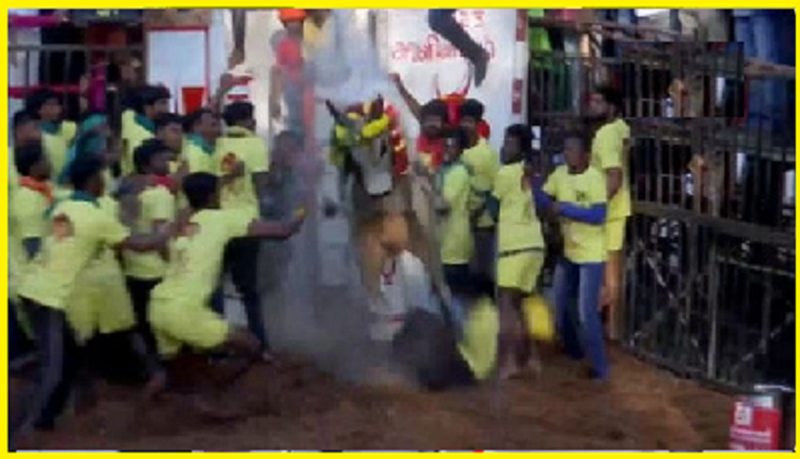 Tamil Nadu: Jallikattu begins in Madurai; 19 injured so far [WATCH]