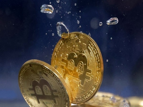 Cryptocurrency collapse continues as more major Crypto firms go out of business