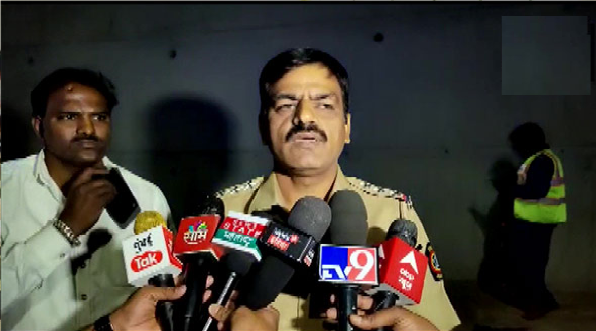 Maharashtra: 12 deer die after jumping from bridge in Solapur