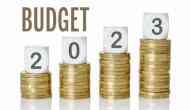 Union Budget 2023: What's cheaper and what's costlier? Check full list here