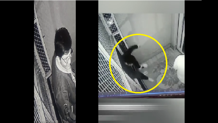 Rajasthan: NEET student dies after falling from hostel building in Kota