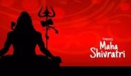 Maha Shivratri 2023: Food items you can consume while observing fast