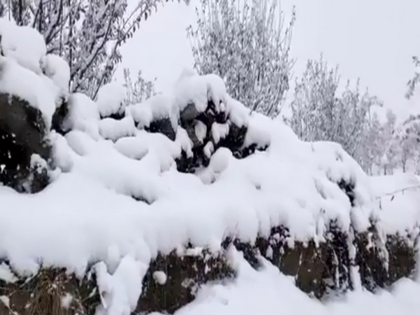 Shimla records highest min temperature of 14.4°C, surpasses previous highest of 14.2°C