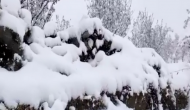 Shimla records highest min temperature of 14.4°C, surpasses previous highest of 14.2°C