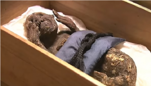 Truth behind Japan’s 300-year-old 'Mermaid Mummy' that worshipped for immortality