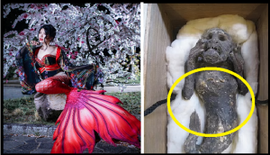 Mysterious 'Mermaid Mummy' worshipped in Japan like god a fake