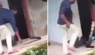 Man pulls out king cobra hiding in bathroom; what happens next will shock you!