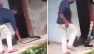Man pulls out king cobra hiding in bathroom; what happens next will shock you!