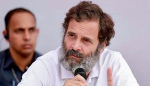 Rahul Gandhi says he learnt a lot from Bharat Jodo Yatra