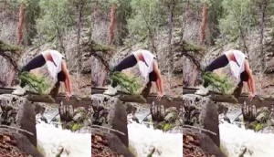 Woman tries yoga on narrow tree trunk above raging river, guess what happens next [WATCH]
