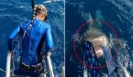 Viral Video: Close call! Scuba diver nearly lands in tiger shark's open mouth 