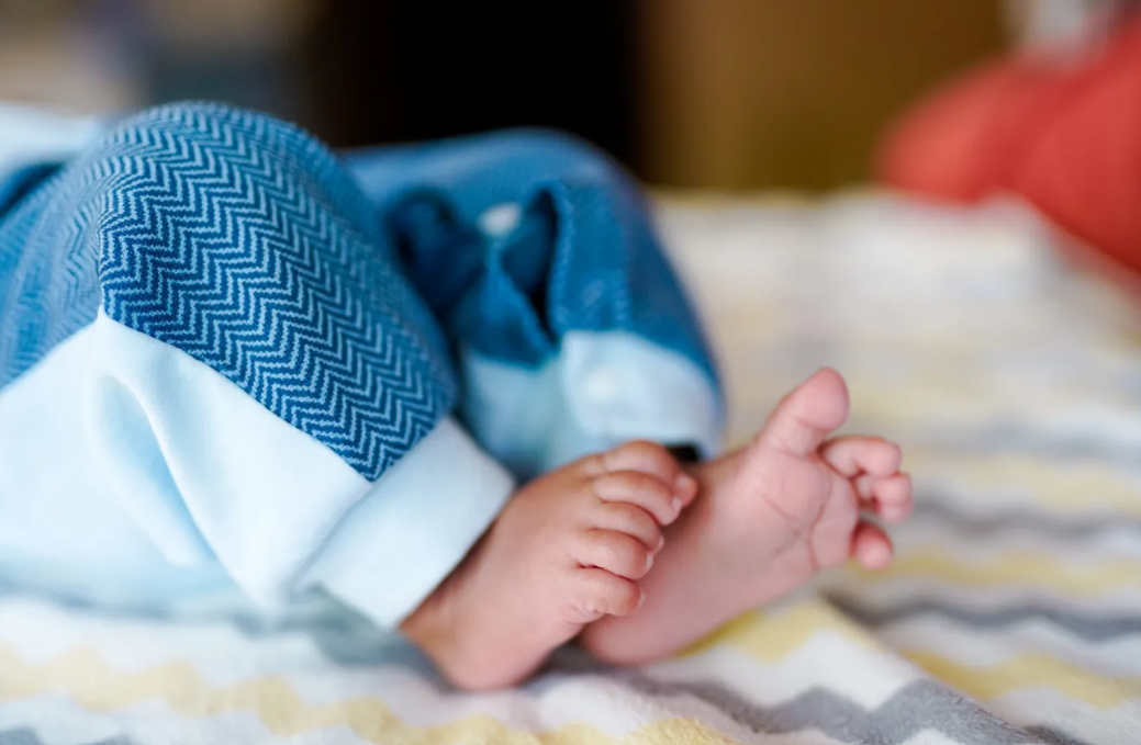 Shocking: Dog enters Rajasthan hospital, kills month-old infant