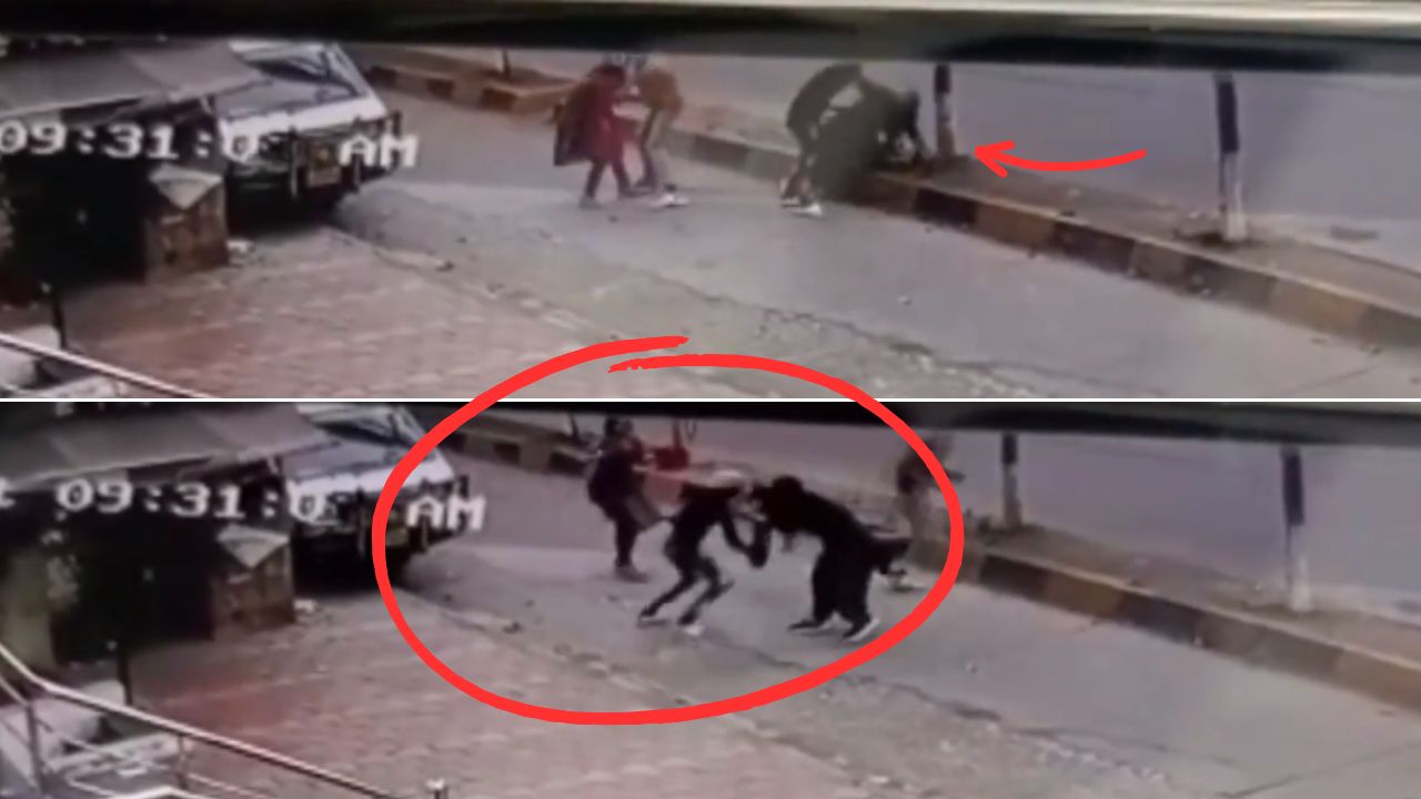 Indore Shocker During Morning Walk: Woman stabbed during failed snatching attempt