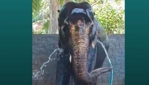Viral Video: How an elephant taking a bath can teach us about self-care, independence, and being present in the moment