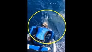 TERRIFYING! Why lady scuba diver suddenly changes plan after spotting something underwater? [WATCH]