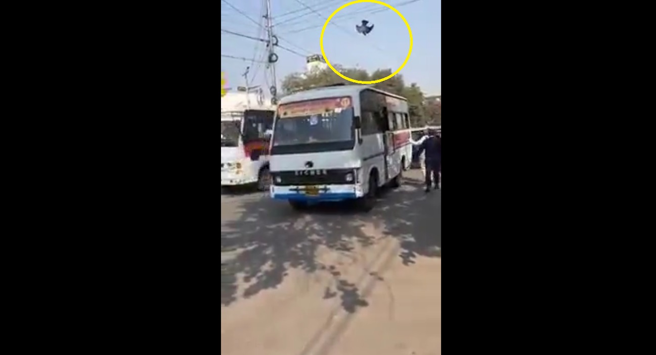 Viral Video: Traffic constable rescues pigeon hanging from kite string