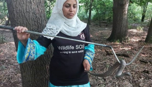 Alia Mir, first woman wildlife rescuer in J-K, honoured with Wildlife Conservation Award