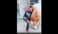 Viral: Boy tries to overpower bull; watch what happens next?