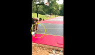 Viral Video: Squirrel challenges humans for one-on-one basketball match