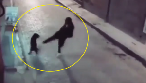 Viral Video: Man trying to kick poor dog gets instant Karma; internet says deserved it