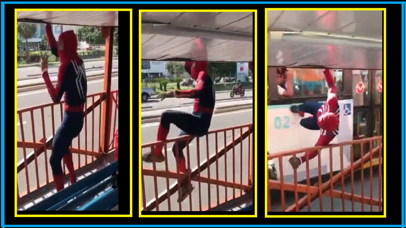 Watch: Dancing Spiderman walks on passing bus, amazes internet