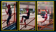 Watch: Dancing Spiderman walks on passing bus, amazes internet