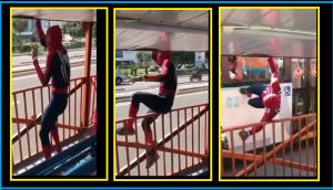 Watch: Dancing Spiderman walks on passing bus, amazes internet