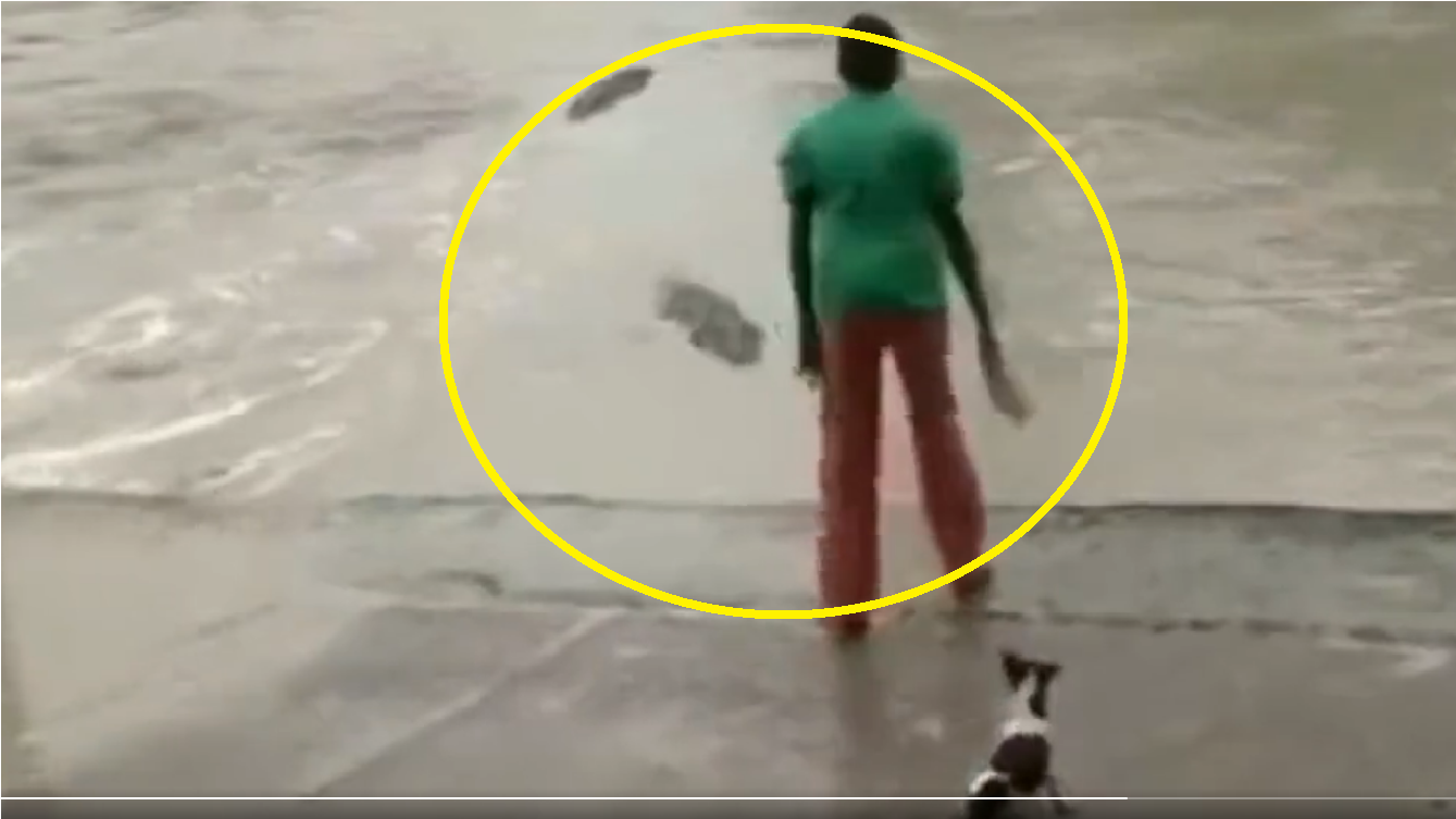 Viral Video: Woman scares crocodile with slipper, saves pet dog’s life