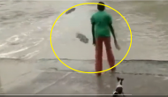 Viral Video: Woman scares crocodile with slipper, saves pet dog’s life