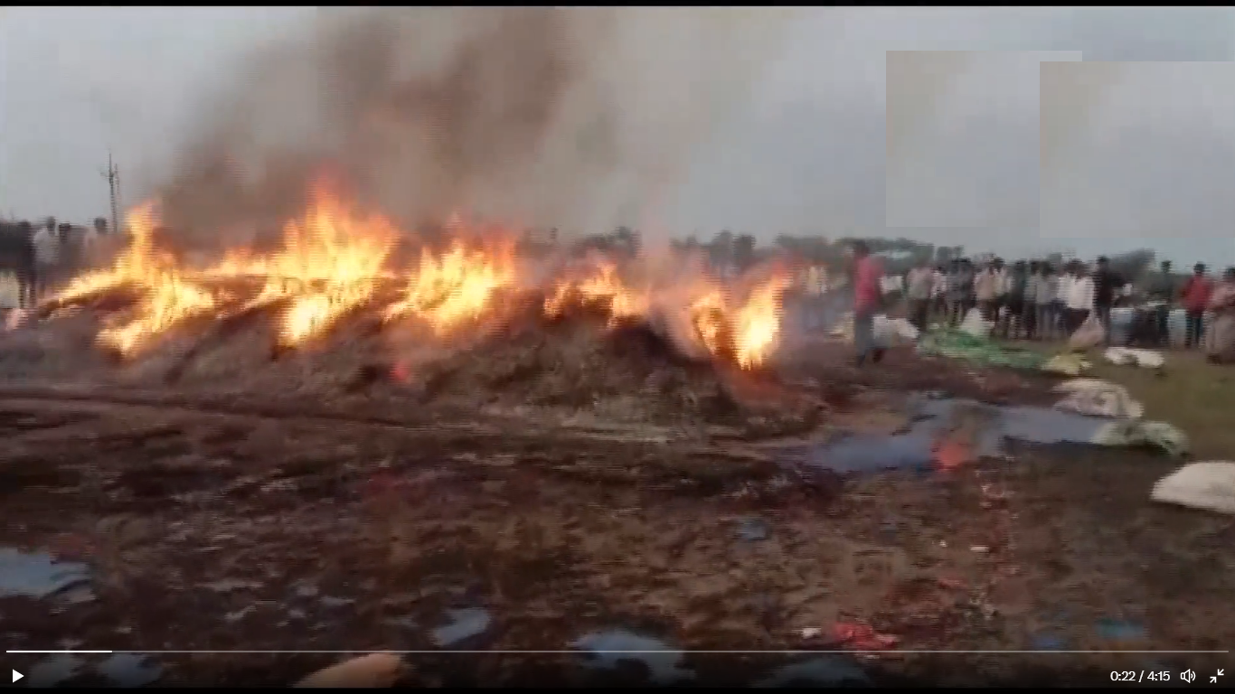 Watch: Unidentified men set 50 quintal red chillies on fire in Andhra Pradesh village