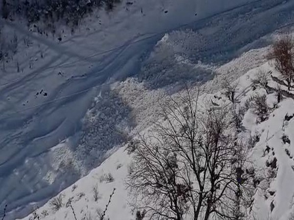 Sikkim: 6 killed, over 80 feared trapped in avalanche on Nathula road