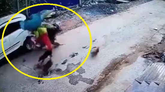 Watch: Woman rams scooty into parked car after being chased by stray dogs in Odisha