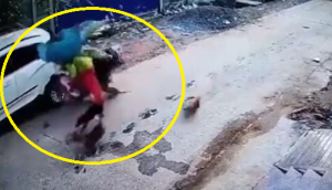 Watch: Woman rams scooty into parked car after being chased by stray dogs in Odisha