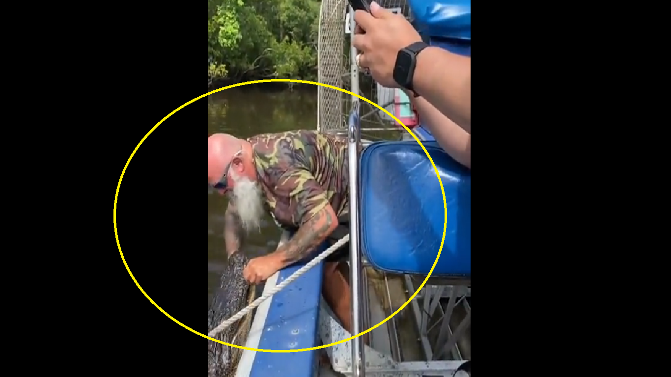 Giant alligator grabs guide’s hand; what happens next? [Watch]