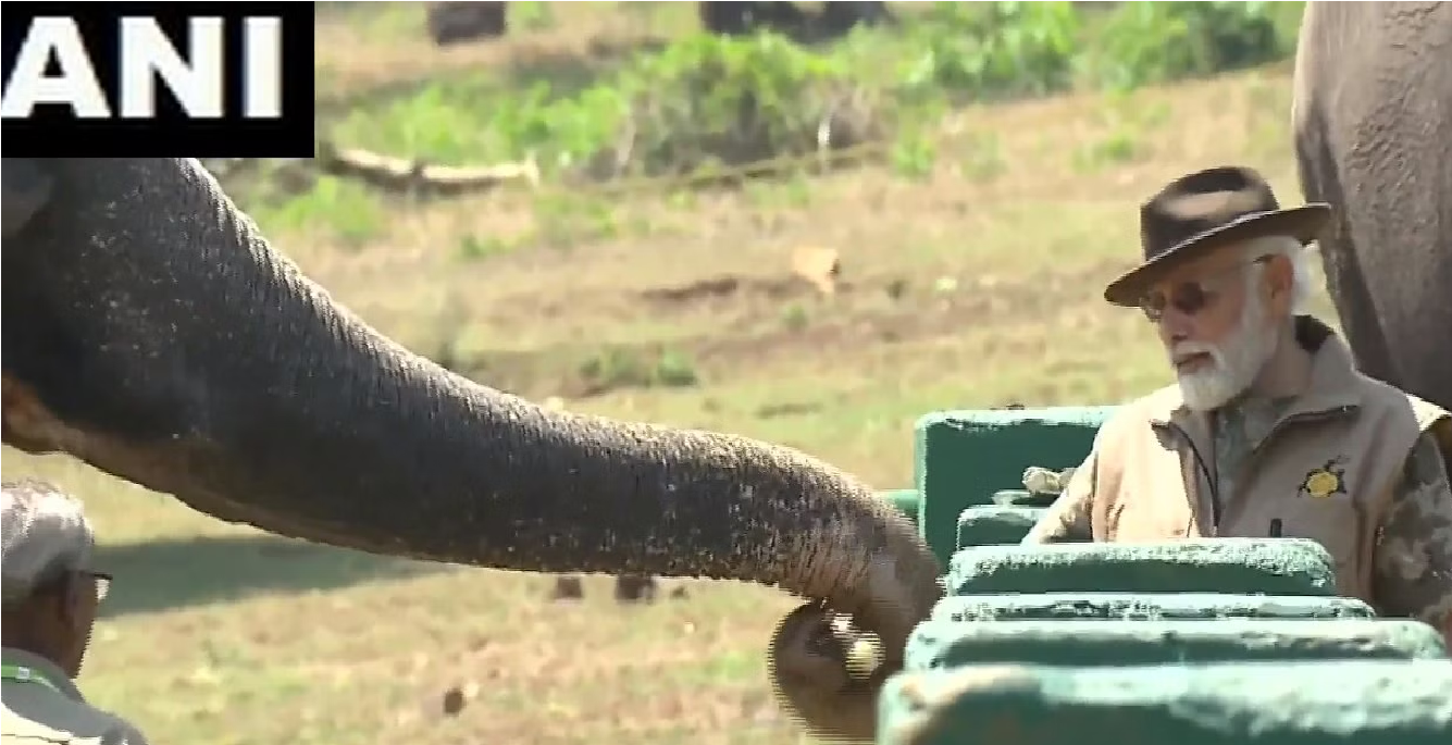Watch; PM Modi feeds elephants at Tamil Nadu's Theppakadu camp