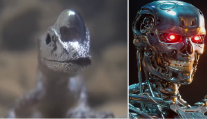 Viral Video: Diving Anole Lizard stuns internet; netizens compare it to Terminator’s ‘T-1001’