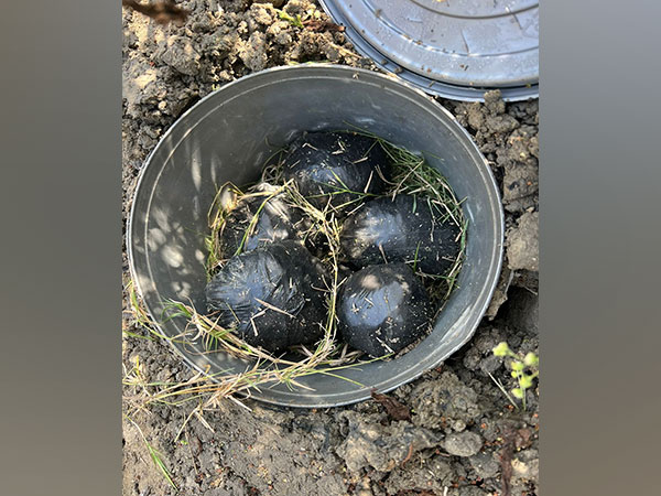 Delhi: 10 bombs recovered in Metro Vihar Chowki, 1 held