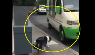 Watch: Dog waits every day for special vehicle; internet praises ice cream man