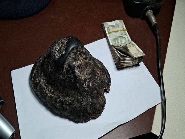 Assam: Rhino horn suspected to be from Kaziranga poaching incident recovered