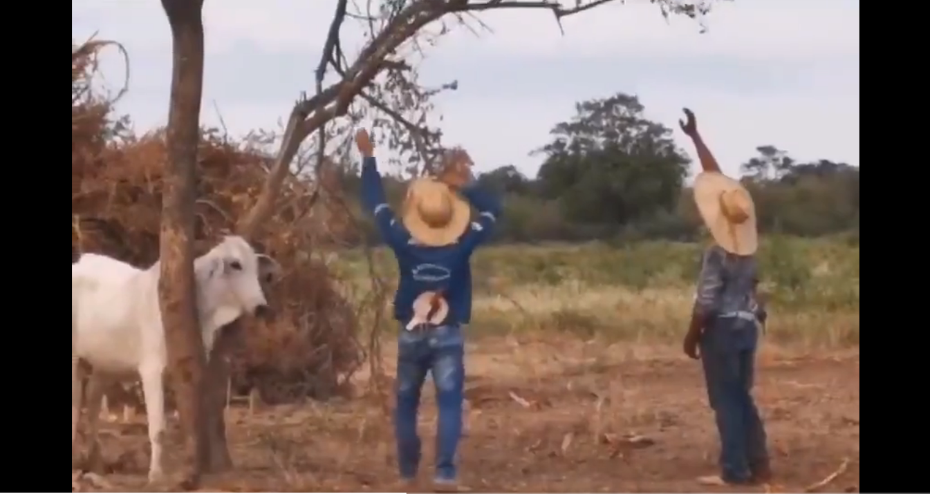 Viral Video: Men rescuing trapped cow get head-butted in return