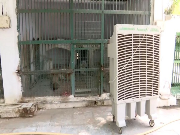 To beat rising temperatures, air coolers installed for animals at Ahmedabad Zoo