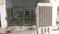 To beat rising temperatures, air coolers installed for animals at Ahmedabad Zoo