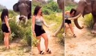 Girl teases elephant; what happens next will scare you!