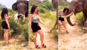 Girl teases elephant; what happens next will scare you!