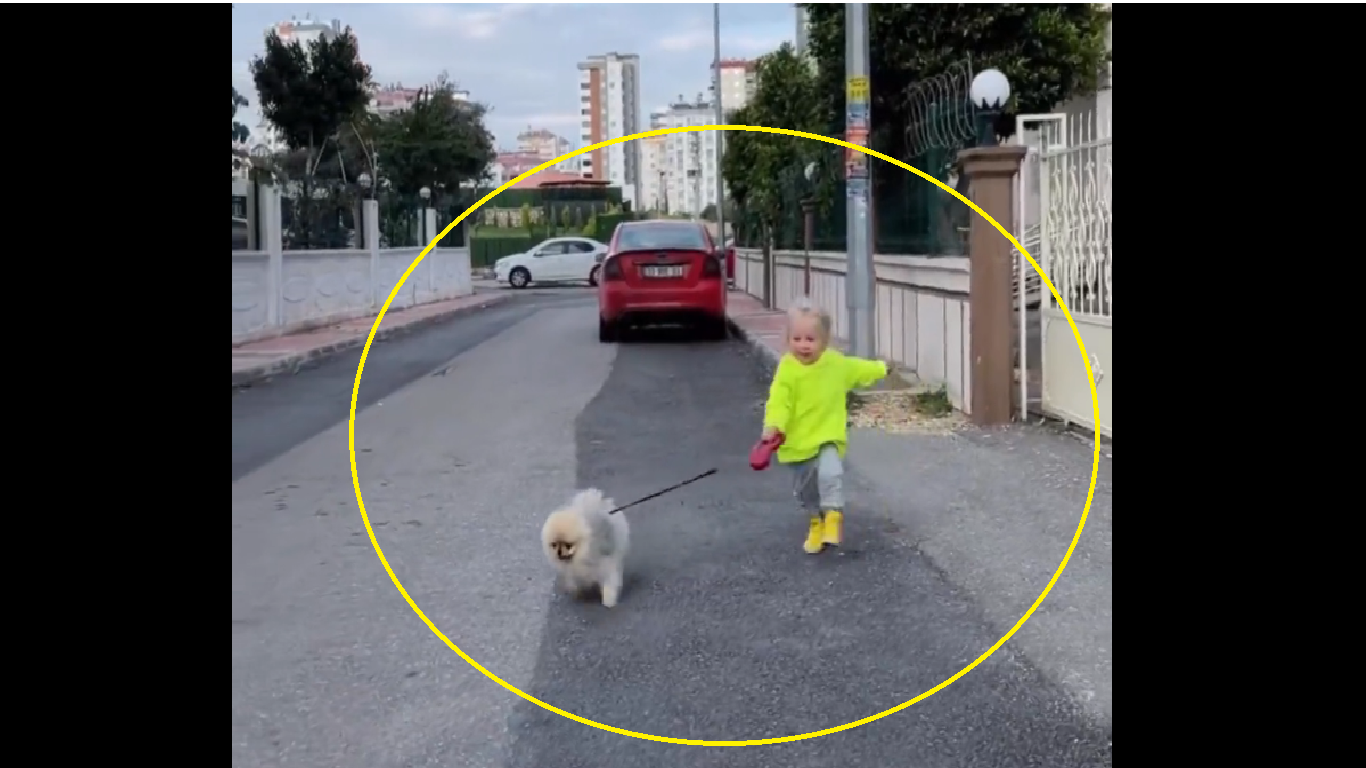 Aww-Dorable: Cute girl tries to walk her furry pooch, leaving internet in splits [WATCH]