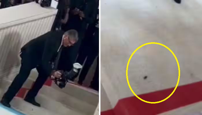 Viral Video: Cockroach’s entry at Met Gala’s red carpet leaves netizens in splits
