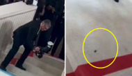 Viral Video: Cockroach’s entry at Met Gala’s red carpet leaves netizens in splits