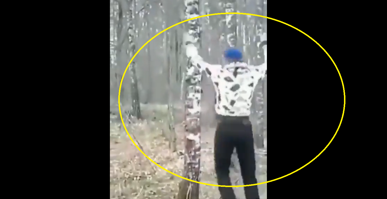 Viral: Watch boy faces instant Karma for kicking tree; internet reacts as nature strikes back